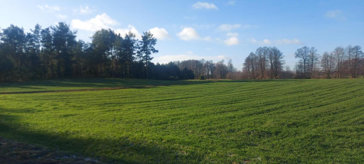 Domek Do Wynajecia - Siedlisko Przy Lesie Rzasnik Extérieur photo